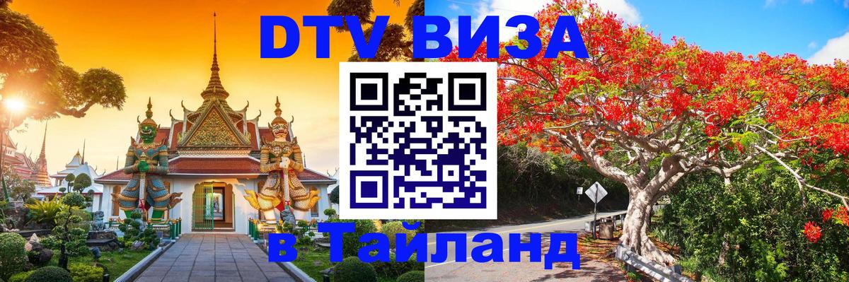 Оформление DTV визы под ключ: стоимость и тарифы, только загранпаспорт - 